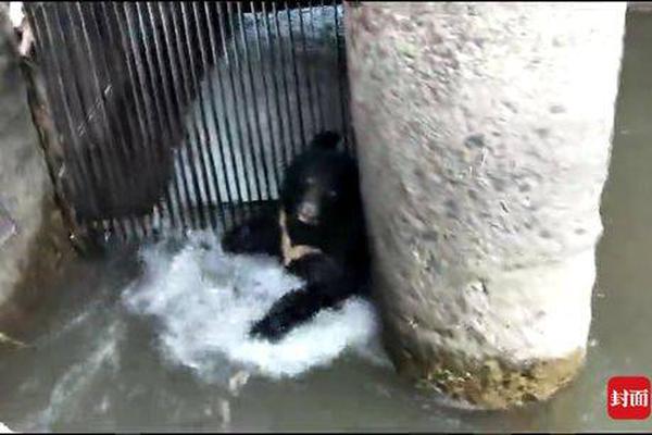 拜托了老师第二季风车