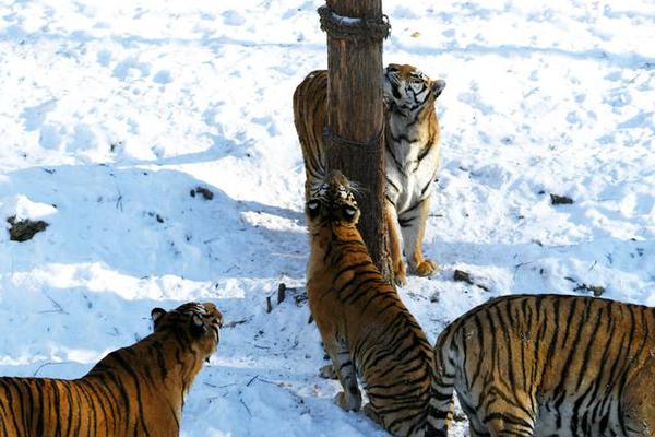 笔趣阁手机版：优质小说阅读软件，类型全且可自由查找