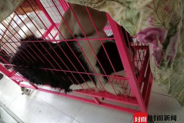 datealive 地铁逃生回归！biubiu免费加速，畅玩海量海内外精品手游