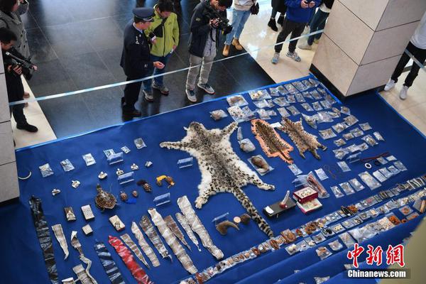 《海贼王第890集》在线观看