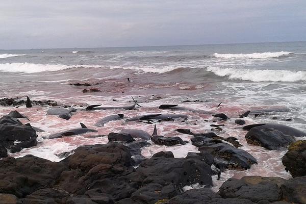 异世界搞笑冒险番为何吸引人？独特设定与反差角色是关键