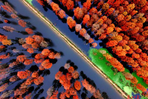 阅站漫画app最新版：免费搜索全网漫画，畅享多种便捷阅读体验