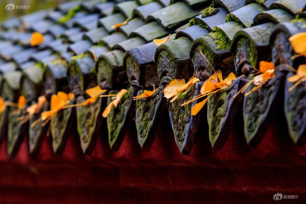 同人：约会大作战datealive ex章节（3） ast存亡战 第一节