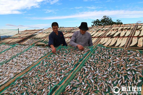 哔哩哔哩隐藏内容怎么找？特殊标签与搜索技巧是关键