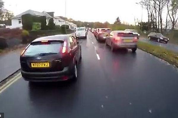 免费漫画阅站app下载安装无广告，畅享丰富漫画资源