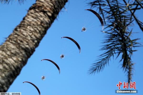 《海贼王第890集》在线观看