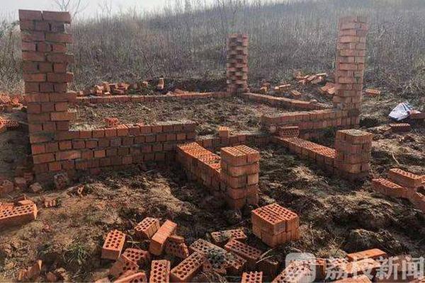 斗罗大陆2绝世唐门完整免费观看