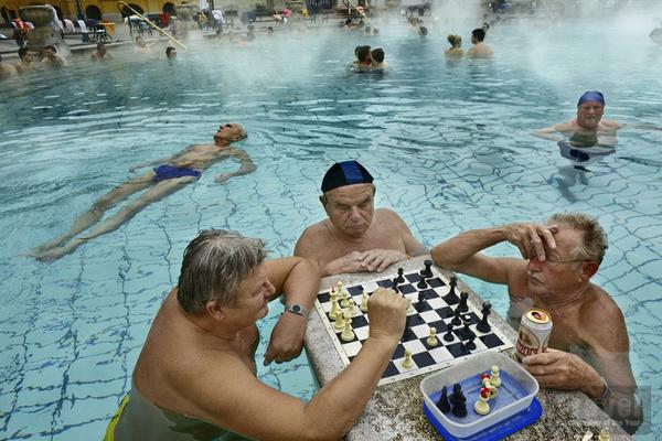 神医毒妃太嚣张大结局