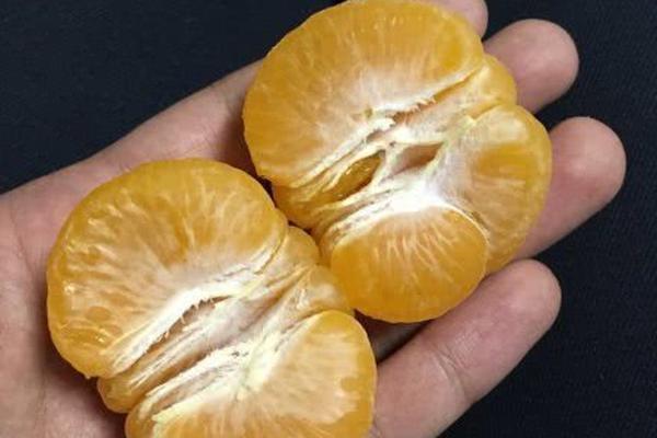 金代理的秘密免费漫画在线观看