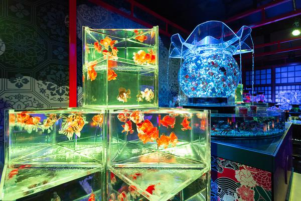 阅站漫画app最新版：免费搜索全网漫画，畅享多种便捷阅读体验