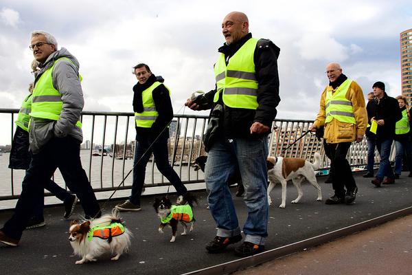 弱点漫画在线观看