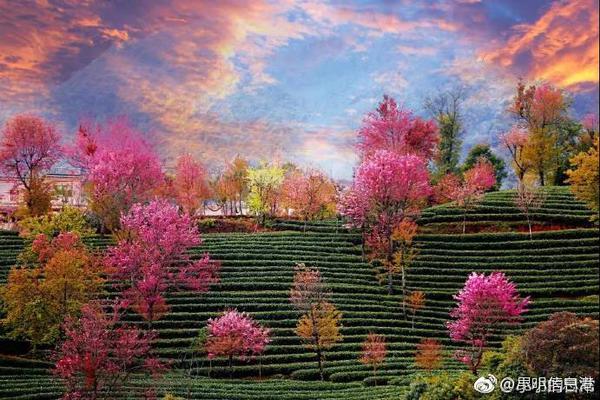 弱点漫画在线观看