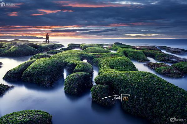 哔哩哔哩隐藏内容怎么找？特殊标签与搜索技巧是关键