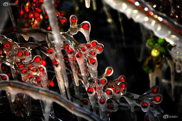 备受关注的死神230模型，设计与工艺究竟有多出色？