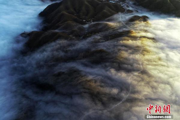 《狐妖竹业篇》