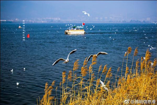 斗破苍穹老粉必看！正版免费观看渠道及支持正版的意义