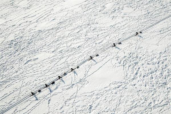 数字阅读普及下，韩漫免费观看的凯发k8国际首页登录的版权风险与安全提示