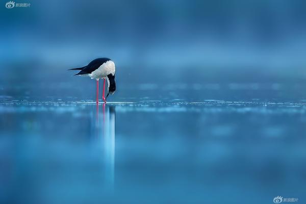 datealive 地铁逃生回归！biubiu免费加速，畅玩海量海内外精品手游