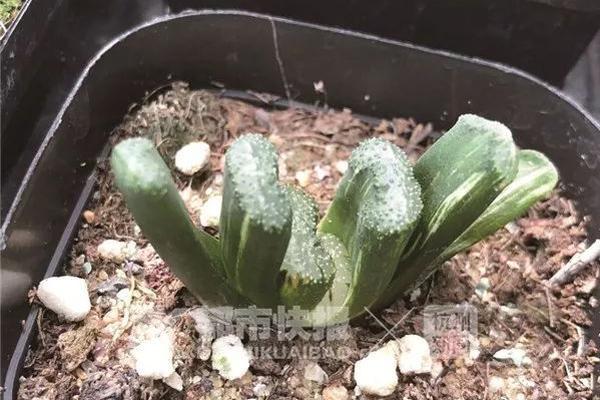 哔哩哔哩隐藏内容怎么找？特殊标签与搜索技巧是关键