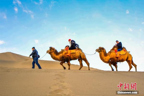 哔哩哔哩隐藏内容怎么找？特殊标签与搜索技巧是关键