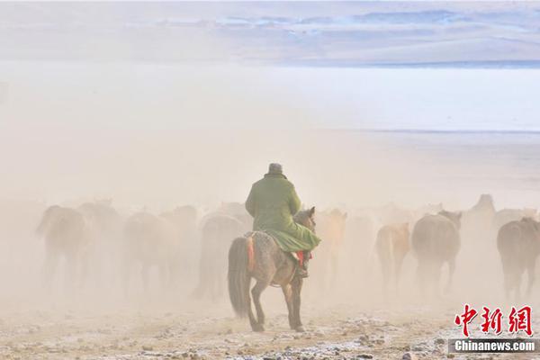 免费漫画阅站官方正版：无广告弹窗，全网漫画免费看