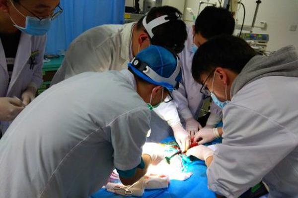 笔趣阁手机版：优质小说阅读软件，类型全且可自由查找