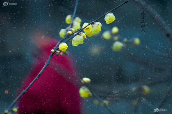 弱点漫画在线观看