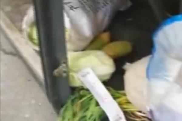 《海贼王第890集》在线观看