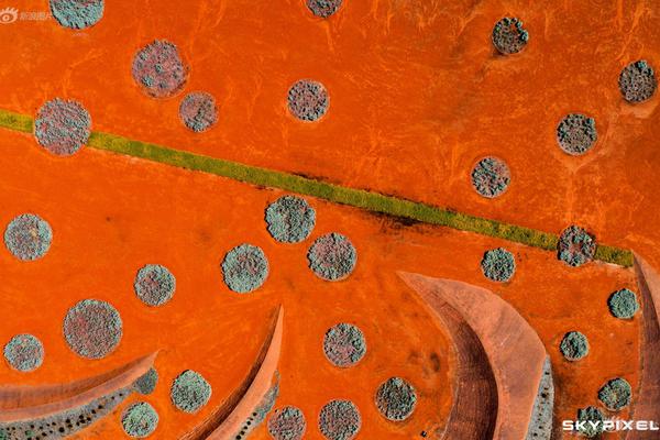 《海贼王第890集》在线观看