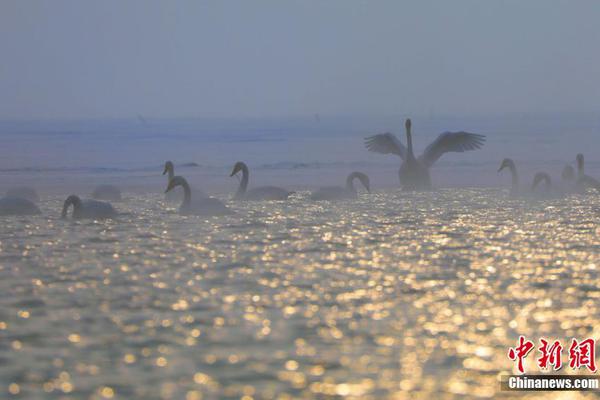 可以不可以漫画