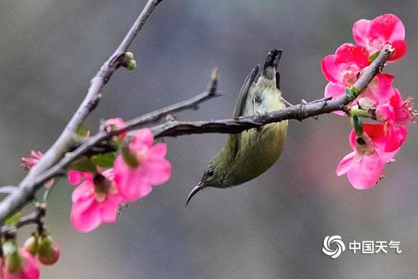 天才医生完整版免费阅读