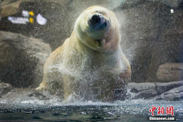 备受关注的死神230模型，设计与工艺究竟有多出色？