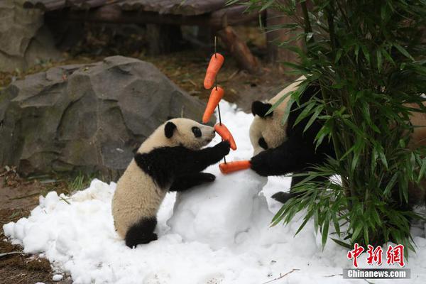 阅站漫画app最新版：免费搜索全网漫画，畅享多种便捷阅读体验