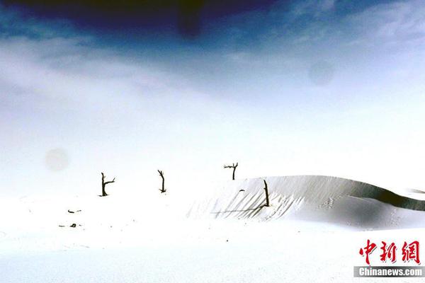 狐妖小红娘漫画总404