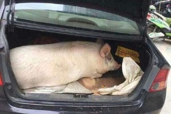 笔趣阁手机版:优质小说阅读软件,类型全且可自由查找