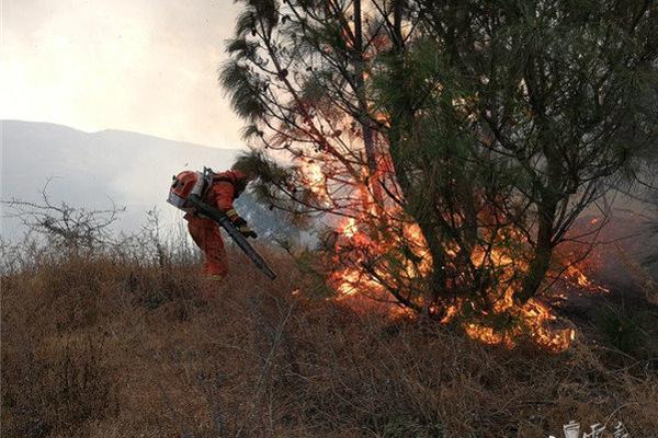 备受关注的死神230模型，设计与工艺究竟有多出色？