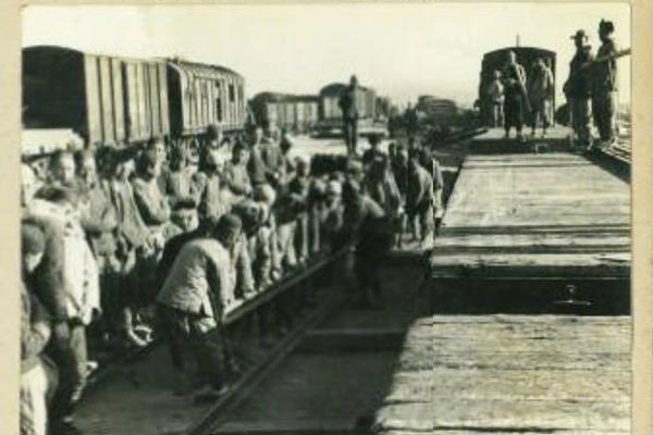 《海贼王第890集》在线观看