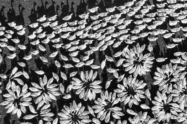 哔哩哔哩隐藏内容怎么找？特殊标签与搜索技巧是关键