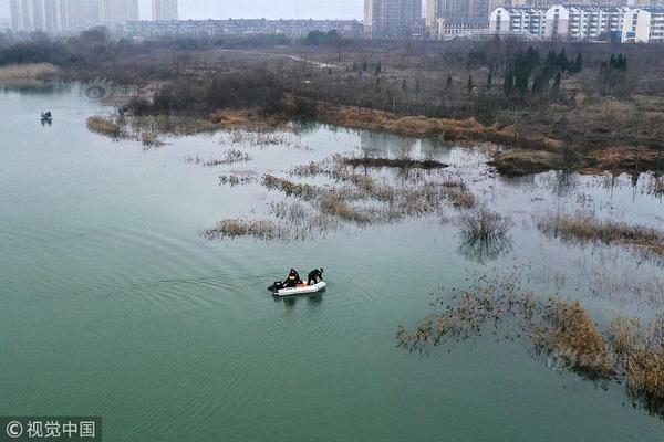 《海贼王第890集》在线观看