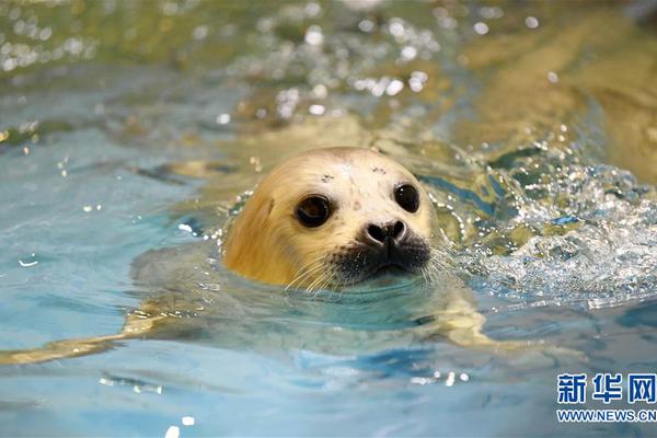 同人：约会大作战datealive ex章节（3） ast存亡战 第一节