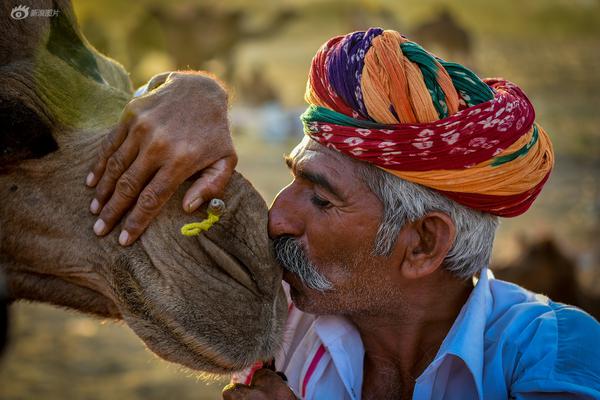 哔哩哔哩隐藏内容怎么找？特殊标签与搜索技巧是关键