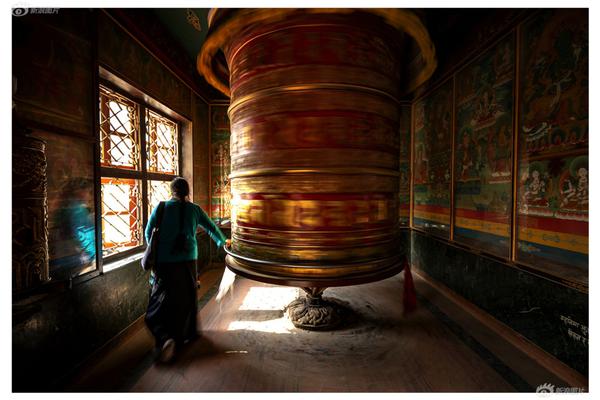 免费漫画阅站app下载安装无广告，畅享丰富漫画资源