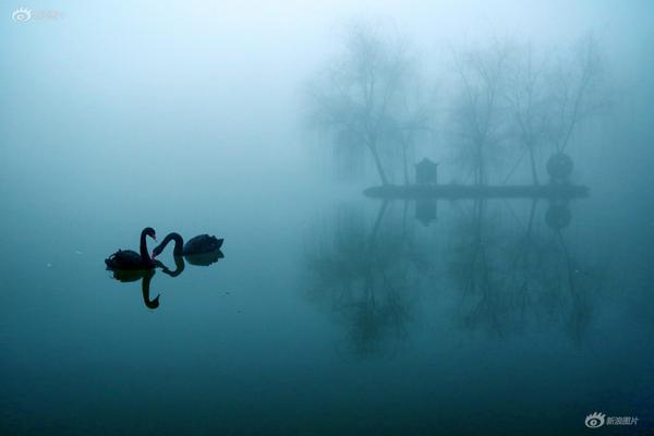 缘之空借兄妹情纠葛引发思索，为何对兄妹恋情描绘引争议？