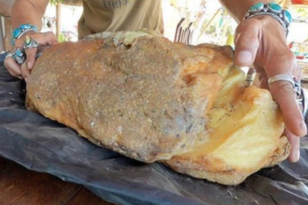 网络文学爱好者必读！新笔趣阁现状及使用建议大揭秘？