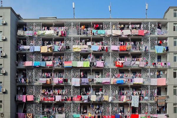 我的左手有条龙莫南