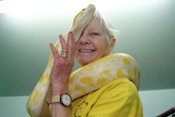 免费漫画阅站官方正版：无广告弹窗，全网漫画免费看