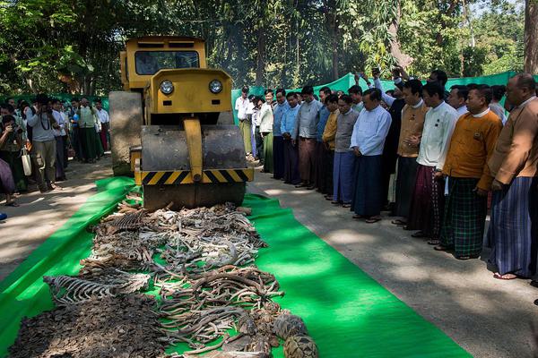 免费漫画阅站官方正版：无广告弹窗，全网漫画免费看