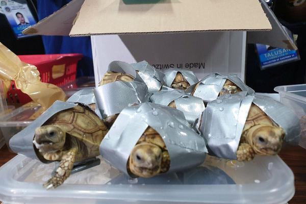 免费韩漫网站重考生