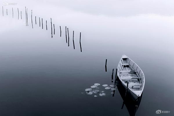 斗罗大陆樱花在线