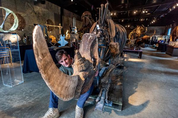 免费漫画阅站app下载安装无广告，畅享丰富漫画资源